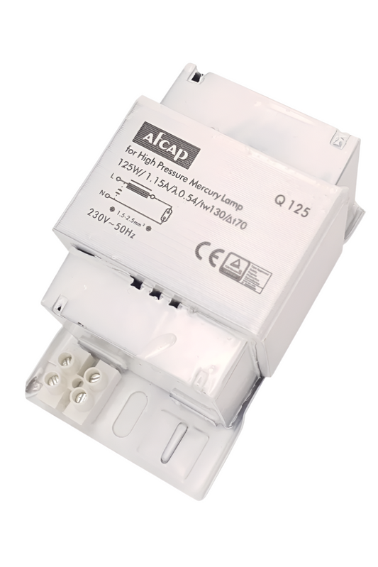 125W MV Ballast (Box of 10)