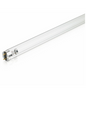 Philips Germicidal TUV T8 LAMP 36W (Box of 6)